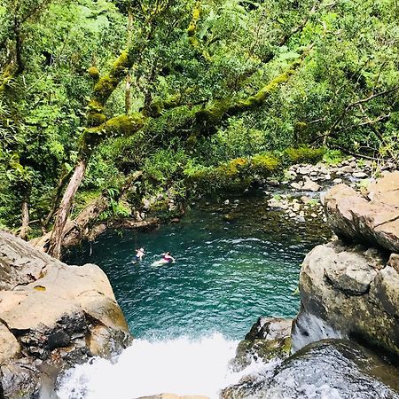 Taveuni Palms Resort Matei Eksteriør bilde