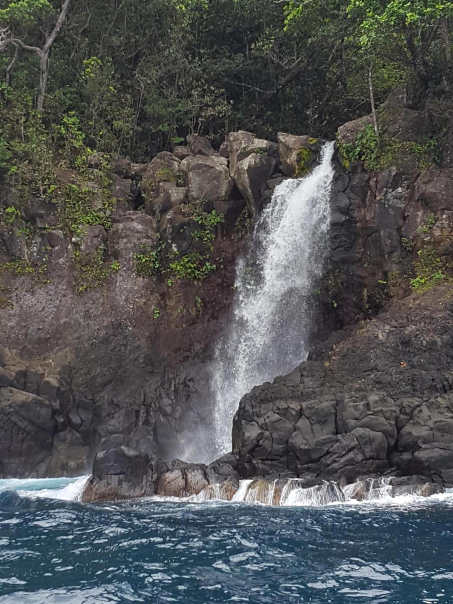 Taveuni Palms Resort Matei Eksteriør bilde