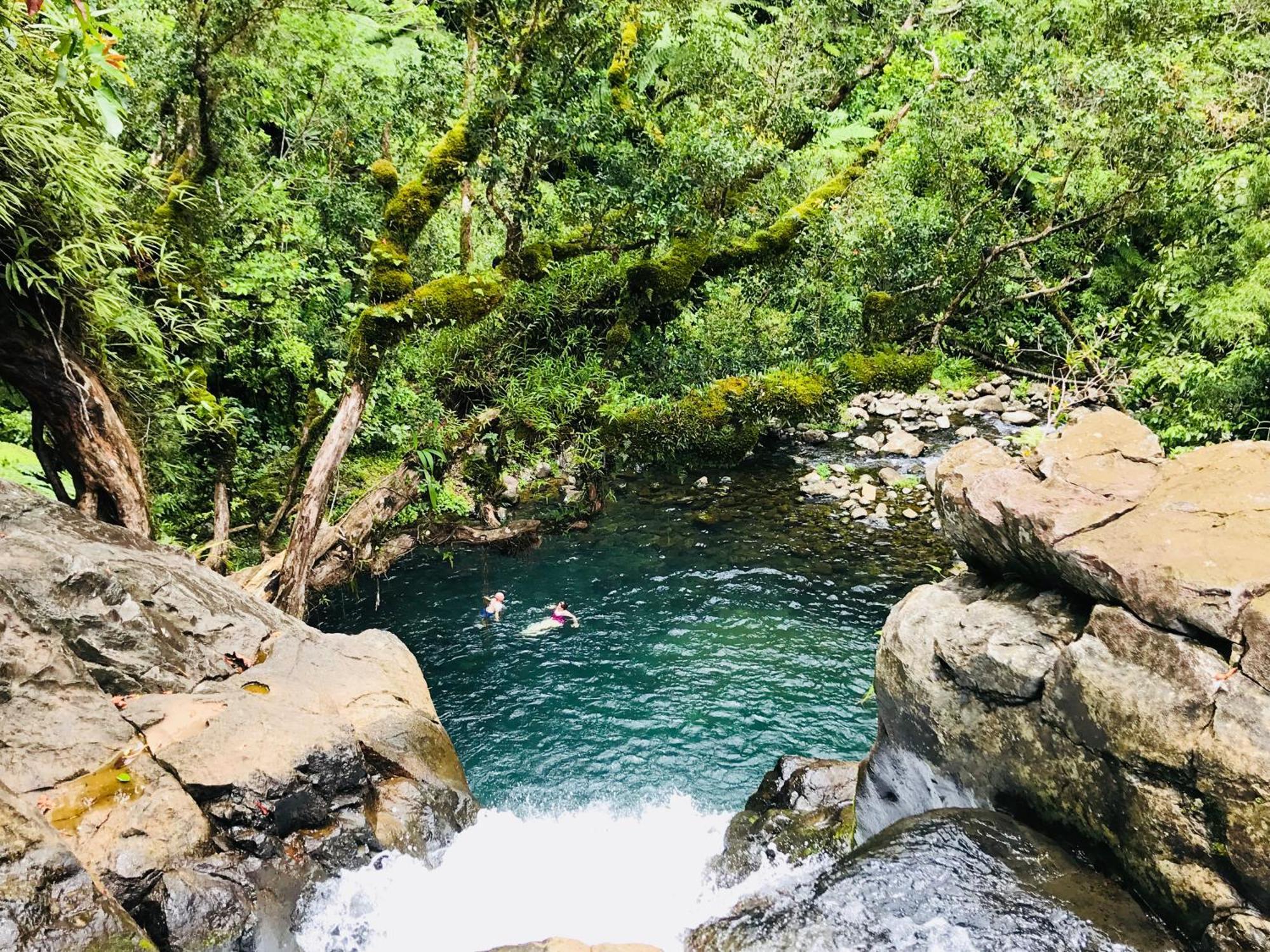 Taveuni Palms Resort Matei Eksteriør bilde